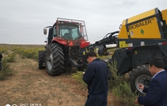 2019年，內蒙奈吉牧草有限公司，采購一臺Anderson檸條平茬機